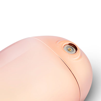 Rosy Gold - Nouveau Mini Massager